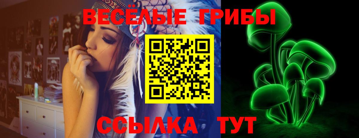 Калининград  Псилоцибиновые грибы Cubensis  Вход с VPN 